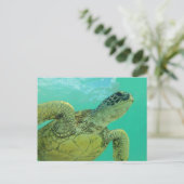 Carte Postale Tortue verte d'Hawaii (Debout devant)
