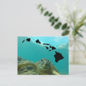 Carte Postale Tortue verte d'Hawaii (Debout devant)