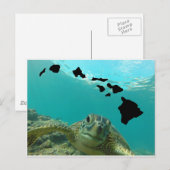Carte Postale Tortue verte d'Hawaii (Devant / Derrière)