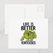 Carte Postale Tortues (Devant / Derrière)