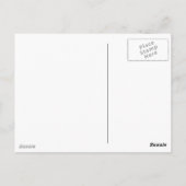 Carte Postale Tortues (Dos)