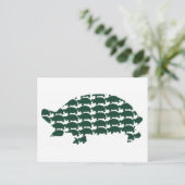 Carte Postale Tortues (Debout devant)