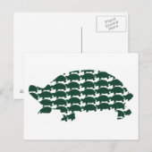 Carte Postale Tortues (Devant / Derrière)