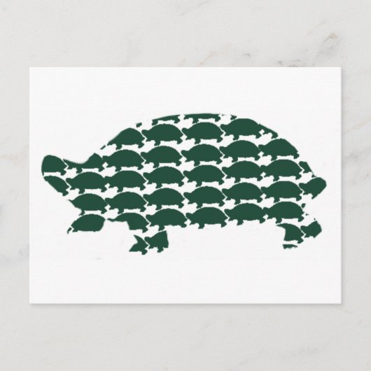 Carte Postale Tortues (Devant)