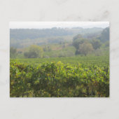 Carte Postale Toscane (Devant)