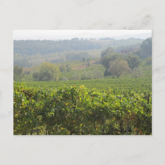 Carte Postale Toscane (Devant)