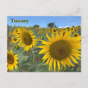 Carte postale Toscane