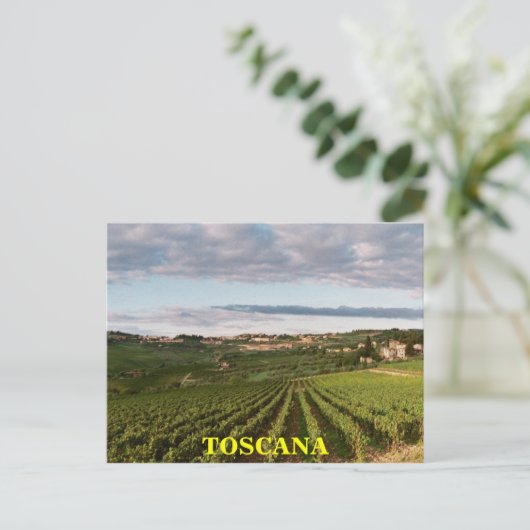 Carte Postale Toscane (Debout devant)