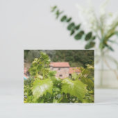 Carte Postale Toscane. Italie. Cortona. (Debout devant)