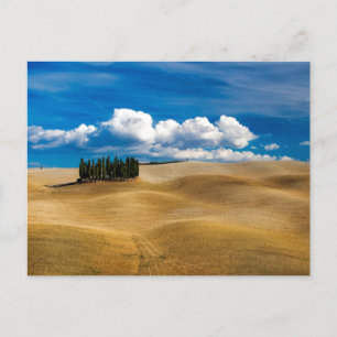 Carte Postale Toscane (Italie) Paysage des plaines