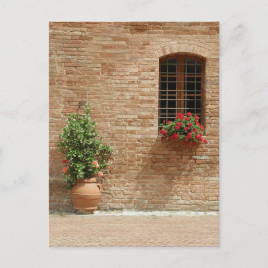 Carte Postale Toscane plantes de pot (Devant)