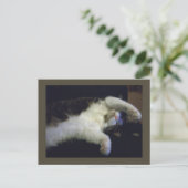 Carte postale Totalement Chillin' (Debout devant)