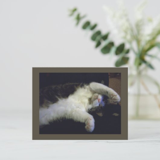 Carte postale Totalement Chillin' (Debout devant)