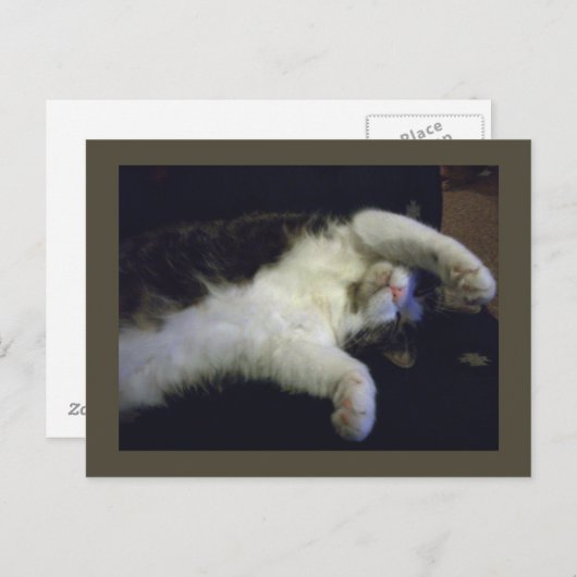 Carte postale Totalement Chillin' (Devant / Derrière)