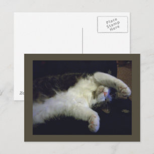 Carte postale Totalement Chillin'