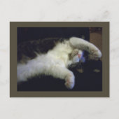 Carte postale Totalement Chillin' (Devant)