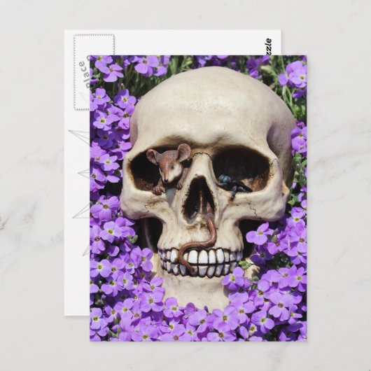 Carte Postale Totenkopf - Gothic (Devant / Derrière)