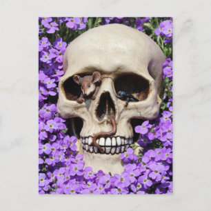 Carte Postale Totenkopf - Gothic