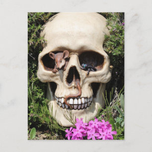Carte Postale Totenkopf - Gothic