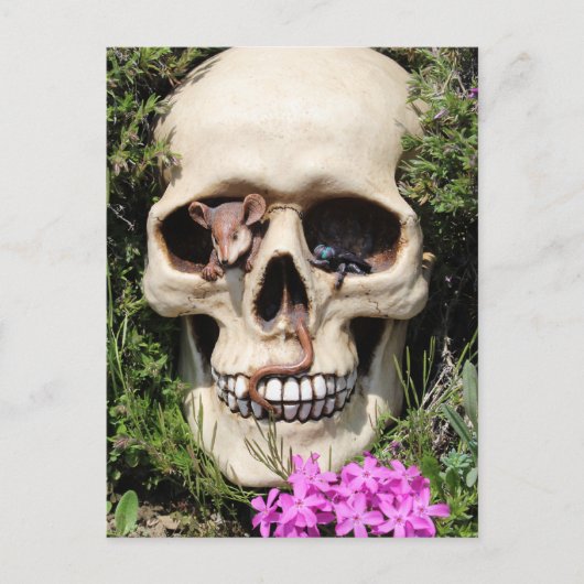 Carte Postale Totenkopf - Gothic (Devant)