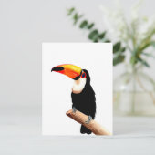 Carte Postale Toucan (Debout devant)