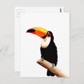 Carte Postale Toucan (Devant / Derrière)