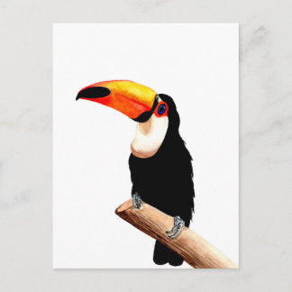Carte Postale Toucan