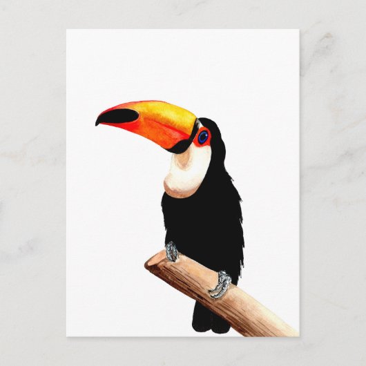 Carte Postale Toucan (Devant)