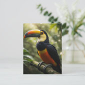 Carte Postale Toucan (Debout devant)