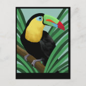 Carte postale Toucan Art (Devant)