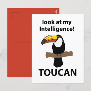 Carte Postale Toucan Bird Tropical Funny