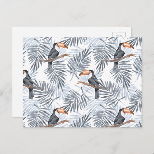 Carte Postale Toucan gris (Devant / Derrière)