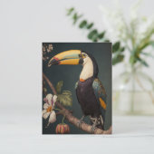 Carte Postale Toucan In The Forest (Debout devant)