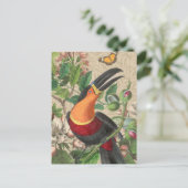 Carte Postale Toucan Jungle Oiseau Tropical Beau Antique (Debout devant)