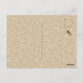 Carte Postale Toucan Jungle Oiseau Tropical Beau Antique (Dos)