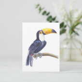 Carte Postale Toucan, oiseau tropical (Debout devant)