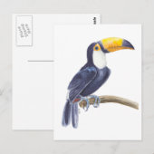 Carte Postale Toucan, oiseau tropical (Devant / Derrière)