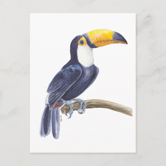 Carte Postale Toucan, oiseau tropical (Devant)