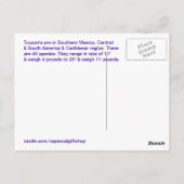 Carte Postale Toucan Postcard (Dos)