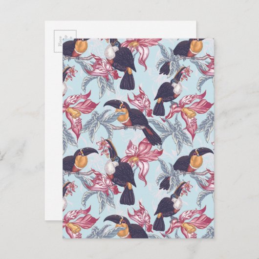 Carte Postale Toucans Avec Fleurs Exotiques (Devant / Derrière)