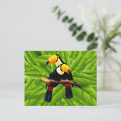 Carte Postale Toucans exotiques (Debout devant)