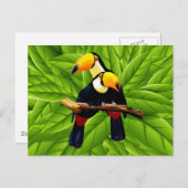 Carte Postale Toucans exotiques (Devant / Derrière)