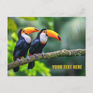 Carte Postale Toucans Tropical Texte Personnalisé
