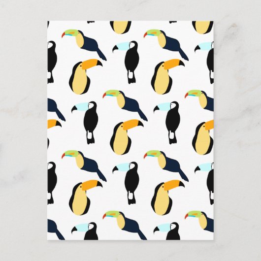 Carte Postale Toucans tropicaux (Devant)