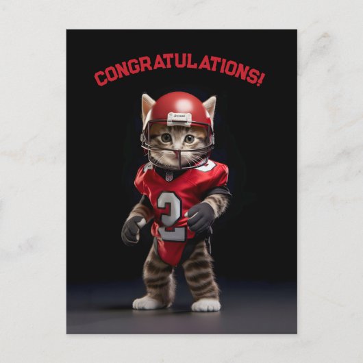 Carte Postale Touchdown Chatounet (Devant)