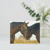 Carte Postale Touche (Debout devant)