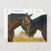 Carte Postale Touche (Devant / Derrière)