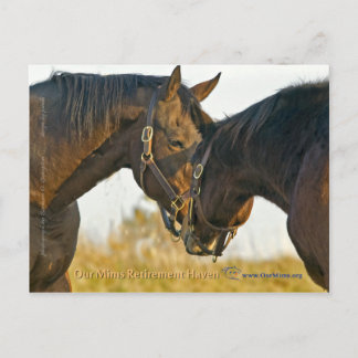 Carte Postale Touche