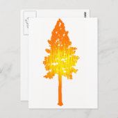 Carte Postale Touche de soleil (Devant / Derrière)