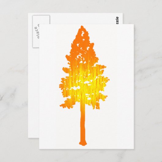 Carte Postale Touche de soleil (Devant / Derrière)